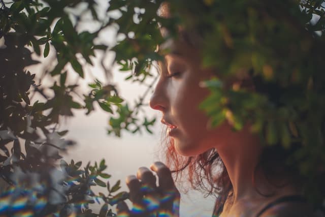 Forest bathing: how embracing this simple practice can boost your health